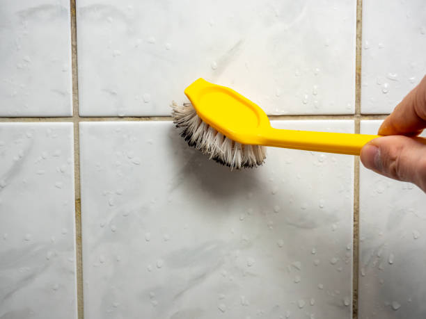 Certified Mold Removal in Dyersville, IA