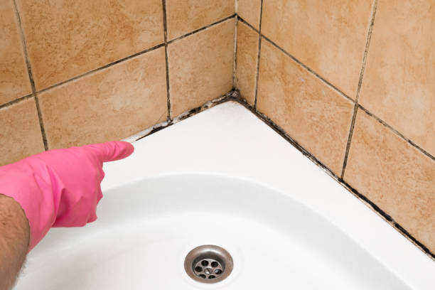 Best Emergency Mold Removal  in Dyersville, IA